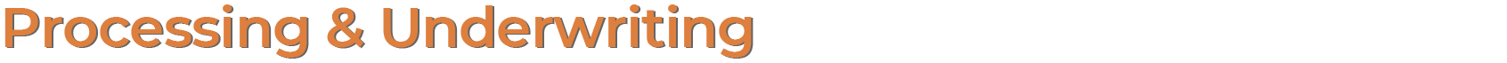 Processing & Underwriting